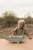 little-dutch-przebijanka-krokodyl-safari-friends-12m-plus-8713291774469-5.jpg