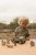 little-dutch-drewniany-samochod-safari-friends-ze-zwierzetami-18m-plus-8713291774827-7.jpg