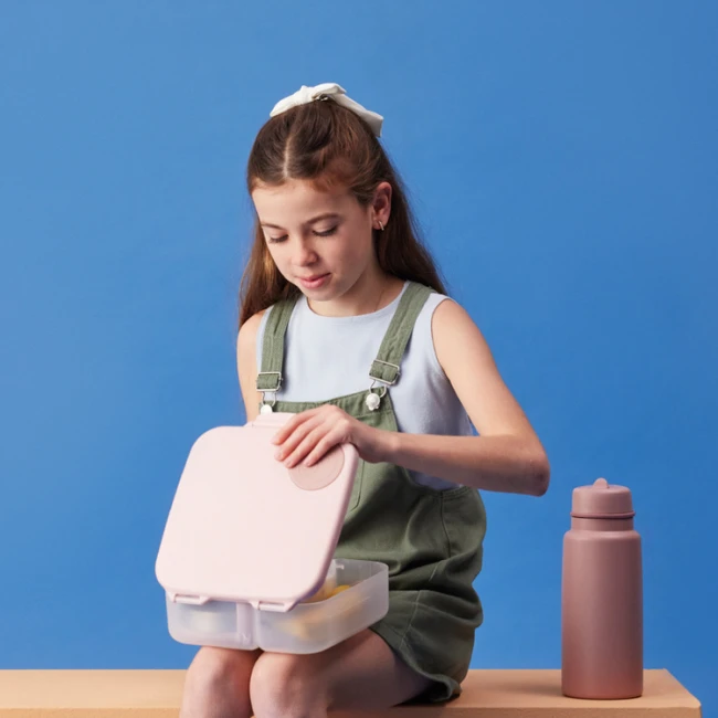 b-box-lunchbox-blush-crush-2-l-3plus-9353965007487-1.jpg