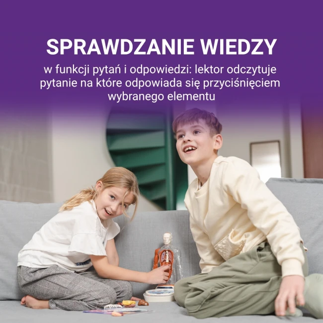 science-can-cialo-czlowieka-interaktywny-model-anatomiczny-3d-6plus-6975007386911-7.jpg