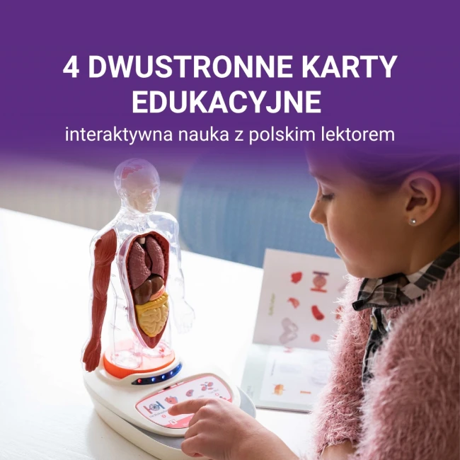science-can-cialo-czlowieka-interaktywny-model-anatomiczny-3d-6plus-6975007386911-5.jpg