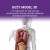 science-can-cialo-czlowieka-interaktywny-model-anatomiczny-3d-6plus-6975007386911-4.jpg