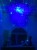 d392e5030663a16ca7e4ebb0f4c8ea2b